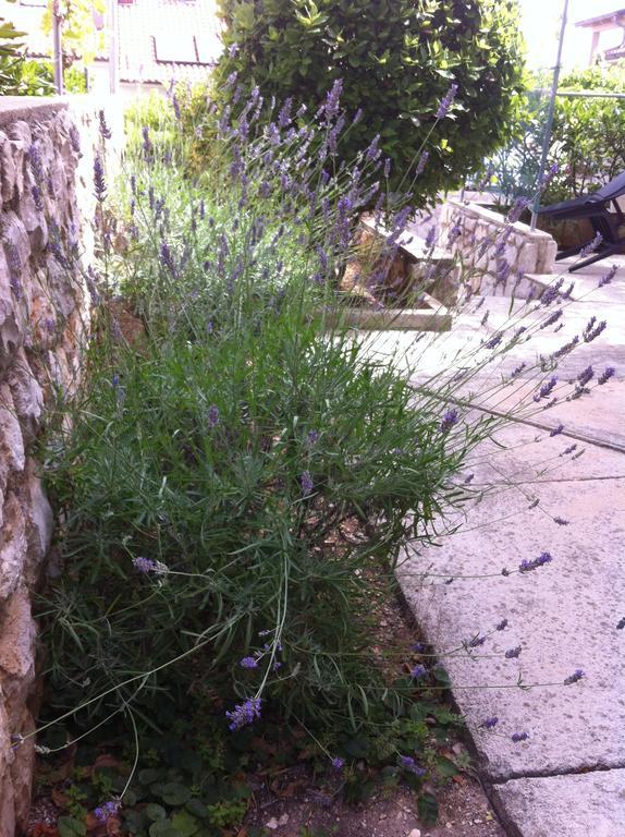Apartments Katja Mali Lošinj Zewnętrze zdjęcie