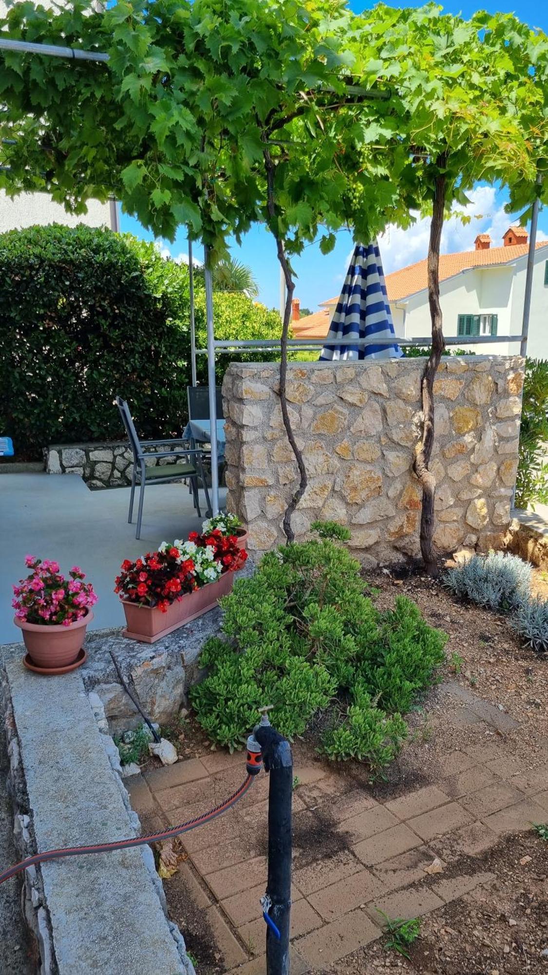 Apartments Katja Mali Lošinj Zewnętrze zdjęcie